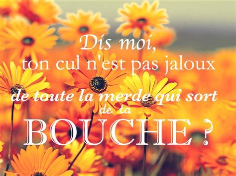 25 Citations Fleurs