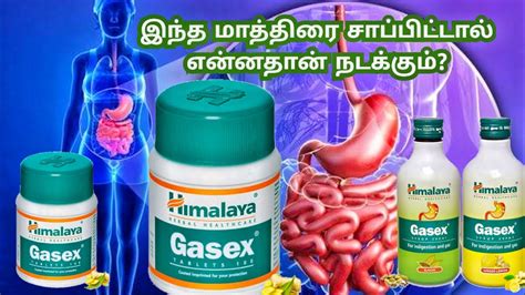 Himalaya Gasex Tablet In Tamil Gasex Tablet Himalaya Himalaya Gasex