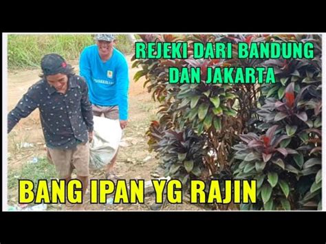 BANG IPAN BANTU ANGKAT PASIR DAN KAYU REJEKI ORANG BAIK DARI JAKARTA