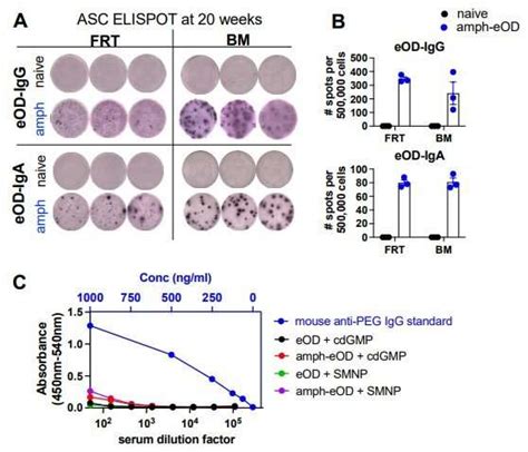 Intranasal Vaccination Produces Potent Systemic Immunity Against Hiv