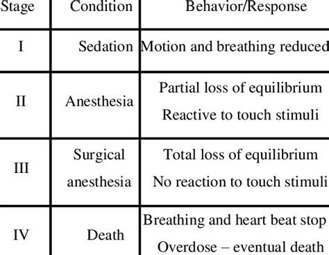 Anesthesia Induction Stages From Marking And Meyer 1985 Download