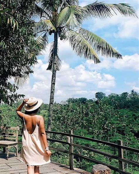 Beginner Guide Tempat Wisata Di Ubud Yang Wajib Dikunjungi