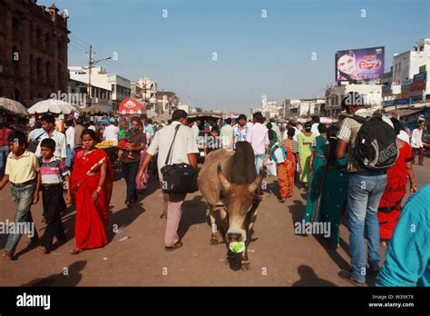 town  puri odisha india stock photo alamy