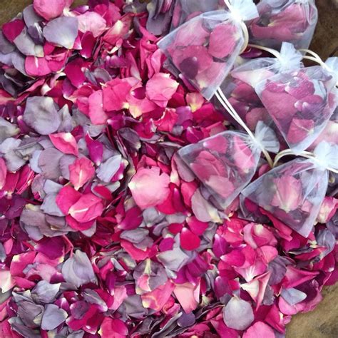 Small Natural Rose Petals Confetti Natural Biodegradable