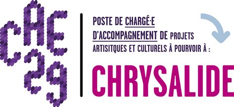 Offre D Emploi Charg E D Accompagnement Culturel Cae