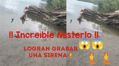 Realmente Asombroso Existen Las Sirenas 😱😱 Youtube