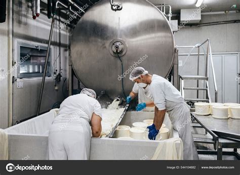 Manual Workers Cheese Milk Dairy Production Factory Traditional ...