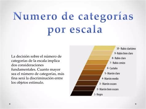 T Cnicas No Comparativas De Escalamiento Ppt