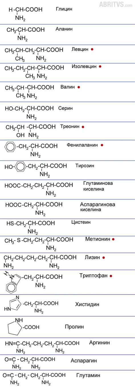 Заменими и незаменими алфа-аминокиселини