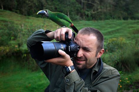 Wildlife Photography Nature