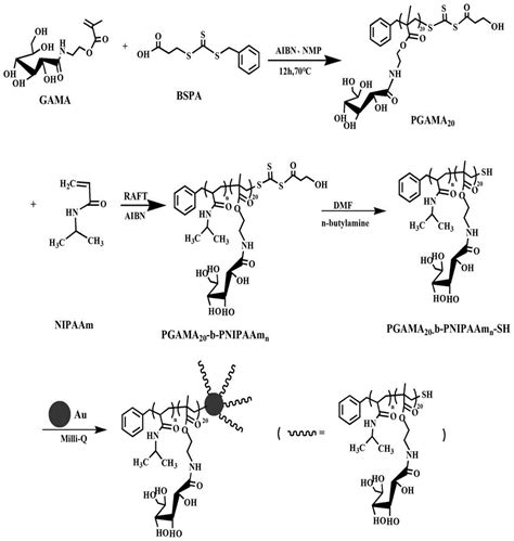 温敏性含糖聚合物修饰的金纳米粒子及制备方法和用途与流程