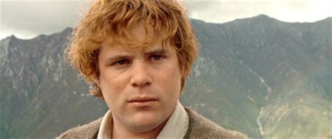 Samwise Gamgee - Samwise Gamgee Image (12089038) - Fanpop