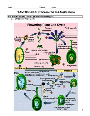 Fillable Online PLANT BIOLOGY Gymnosperms And Angiosperms Fax Email