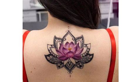 36 Significado Da Tattoo Flor De Lotus