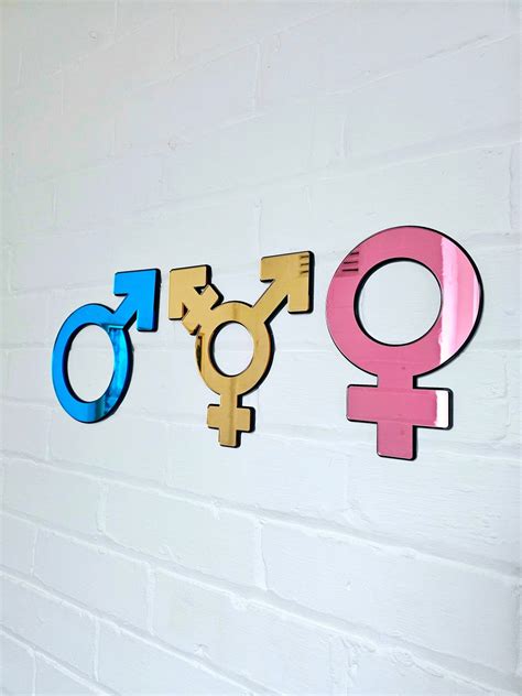 Female Male Transgender Sex Symbol Mirror Man Woman Trans Lgbtq Wall Art Boho Wall Art Decor