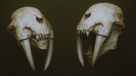 Artstation Jaws 2 Another 33 Monster Mouths And Skulls Imm Brush