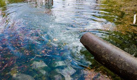 Descontaminaci N Del Agua Qu Es Y M Todos Fundaci N Aquae