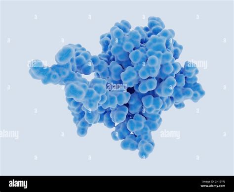 Fibroblast growth factor 21, illustration Stock Photo - Alamy