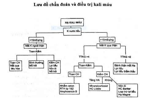 Phác đồ điều trị Rối Loạn Kali Máu Bệnh Viện Chợ Rẫy