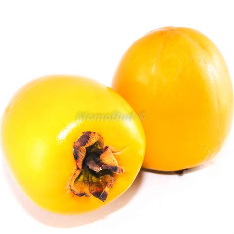 Organic Kaki Persimmon (3pcs) — MomoBud