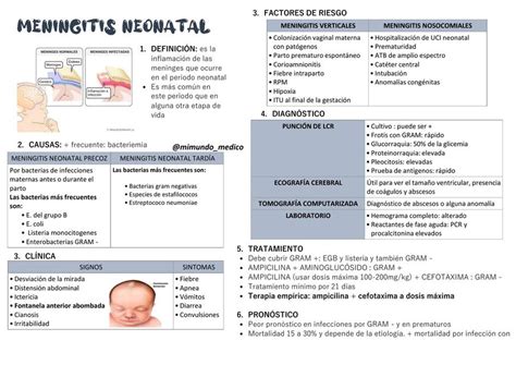 Sepsis Y Meningitis Neonatal Udocz The Best Porn Website