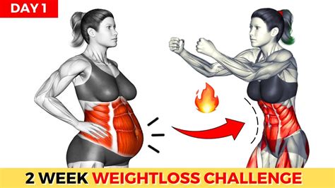 Do This 30 Min Everyday To Lose Weight And Belly Fat 2 Weeks Shred