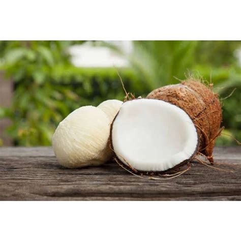 Jual Kentos Kelapa Segar Obat Ginjal Dan Jantung Kemasan Kg