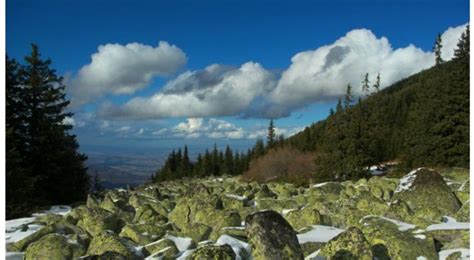 Vitosha Mountain National Park ⋆ Bulgaria Info Guide