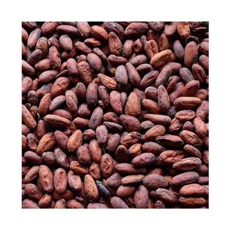 High Quality Brazil Cocoa Beans 100 Natural Buy Cheap Wholesale Top