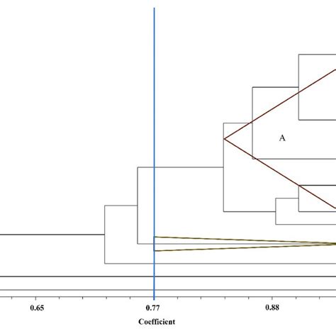 Upgma Dendrogram Based On The 16s Rdna Pcr Rflp Fingerprints Of