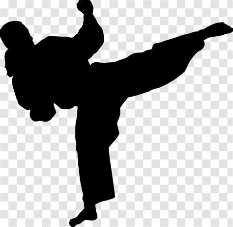 Martial Arts Karate Silhouette Wall Decal Combat - Taekwondo ...