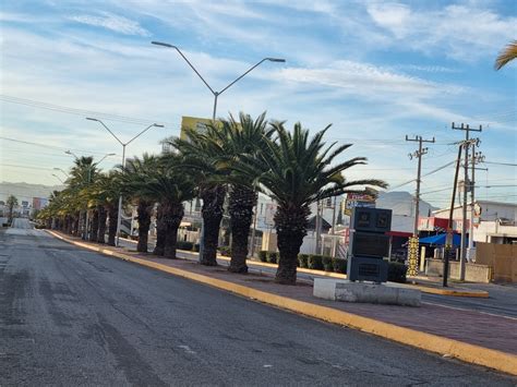 Realizan Trabajos De Mantenimiento En Camellones De Avenida La Cantera