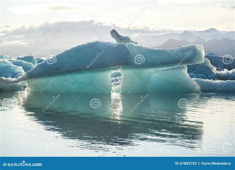 Iceberg Blu Con La Riflessione Alla Laguna Jokulsarlon Islanda Del