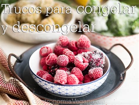 12 Cereales Y Semillas Sin Gluten Gastronomía Vegana