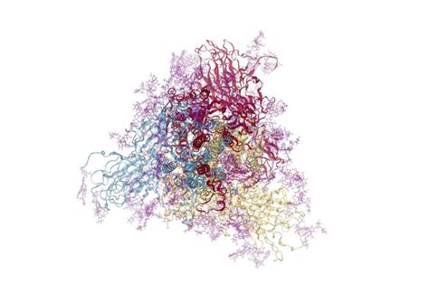 Molecular dynamics database offers improved understanding of COVID-19 ...