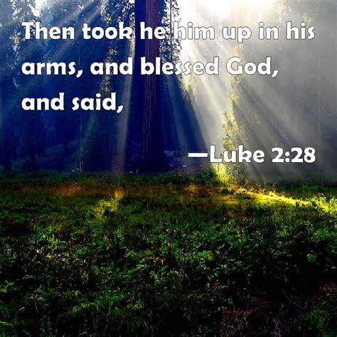 Luke 2 28 Then Took He Him Up In His Arms And Blessed God And Said