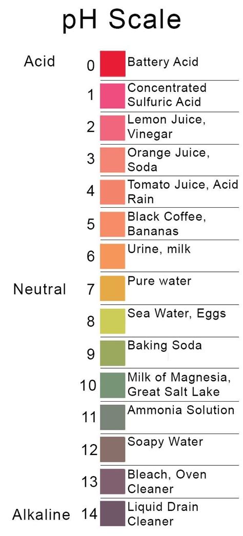 What Is Acid Rain On The Ph Scale - Oldmymages