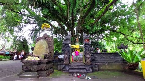 Pesona Pura Tirta Empul Wisata Pemandian Air Suci Di Bali