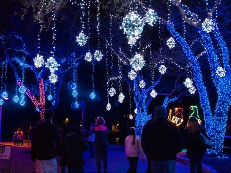 Houston's most spectacular winter light shows dazzle for the holidays ...