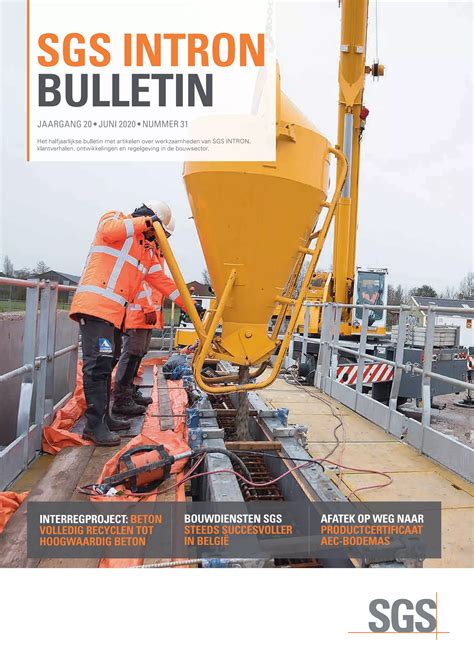 SGS INTRON BULLETIN NUMMER 31 PDF