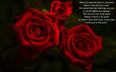 Quotes About Red Roses. QuotesGram