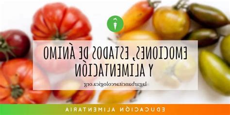 La Relación Entre La Alimentación Y El Estado De ánimo