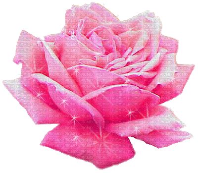 pink rose gif - GIF animé gratuit - PicMix