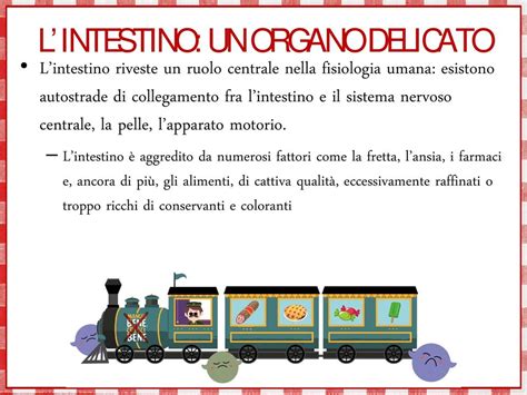 Il Viaggio Del Cibo Quando Arrivano Nel Corpo Gli Alimenti Compiono