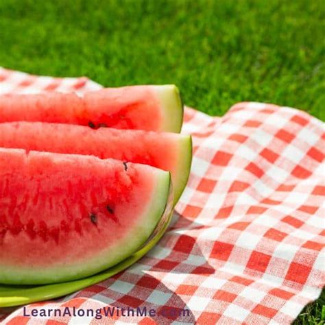 15 Tasty Picnic Snack Ideas Learn Along With Me