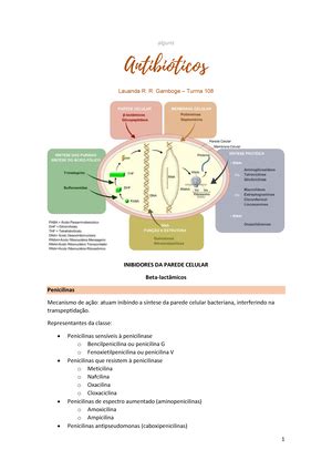 01 Antibióticos beta lactâmicos Diviso de MI CM FMRP USP