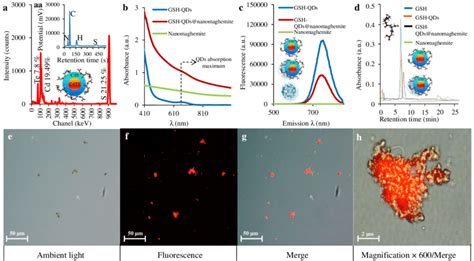 Characterization Of Gsh Stabilized Cdte Cds Core Shell Quantum Dots