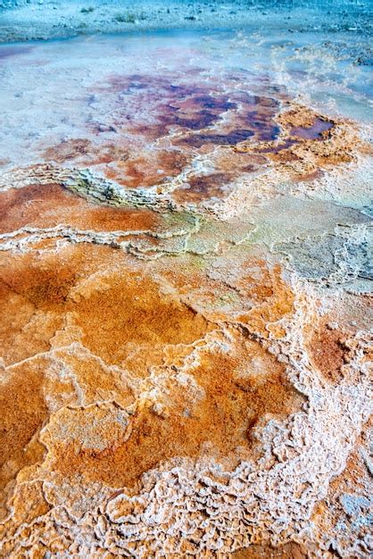 Premium Photo Landscape Of Mammoth Hot Springs In Yellowstone National Park