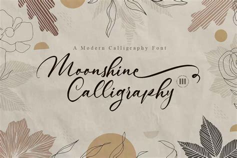 Moonshine Calligraphy Font Dfonts