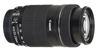 Best Budget Lenses For Canon The Ultimate Guide